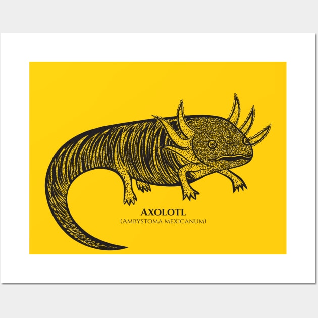 Axolotl with Common and Scientific Names - cool detailed animal design Wall Art by Green Paladin